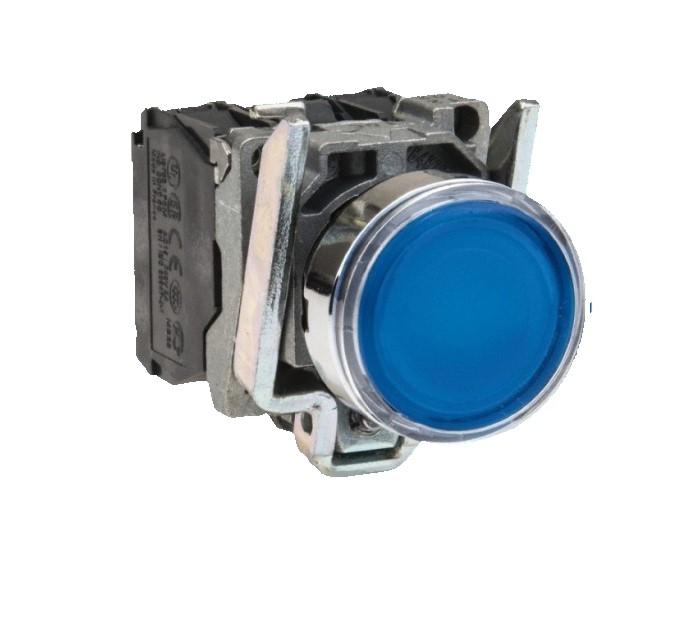 پوش باتن فلزی آبی اشنایدرXB4BW36B5 با LED داخلی